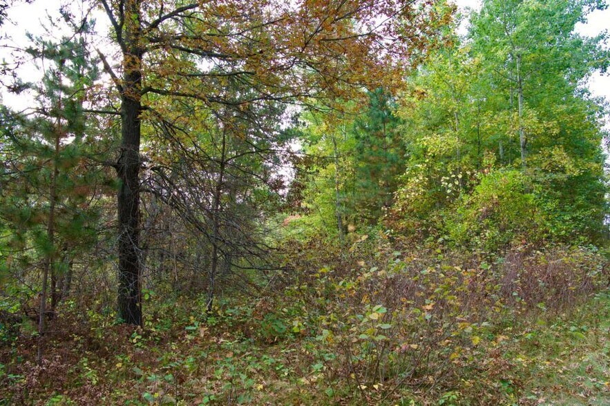 More Photos Of 371 Hwy, Brainerd Land For Sale