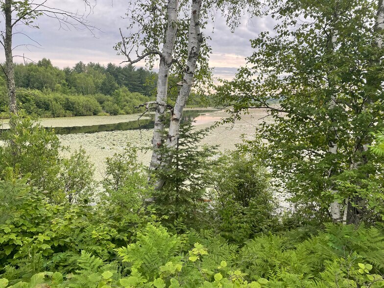 More Photos Of Hogsback Road, Exeland Land For Sale