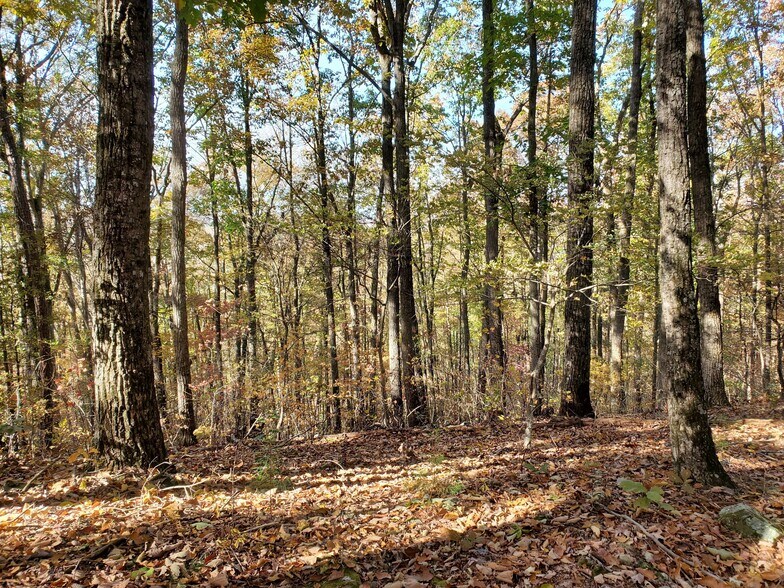 More Photos Of 1000 Block Of US-Hwy 64, Ocoee Land For Sale