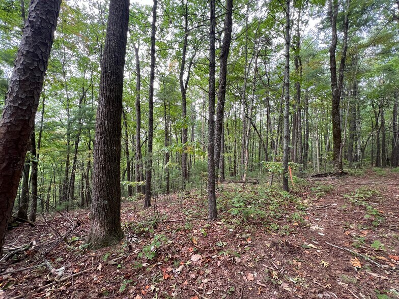 More Photos Of Whitecliff Drive, Ellijay Land For Sale
