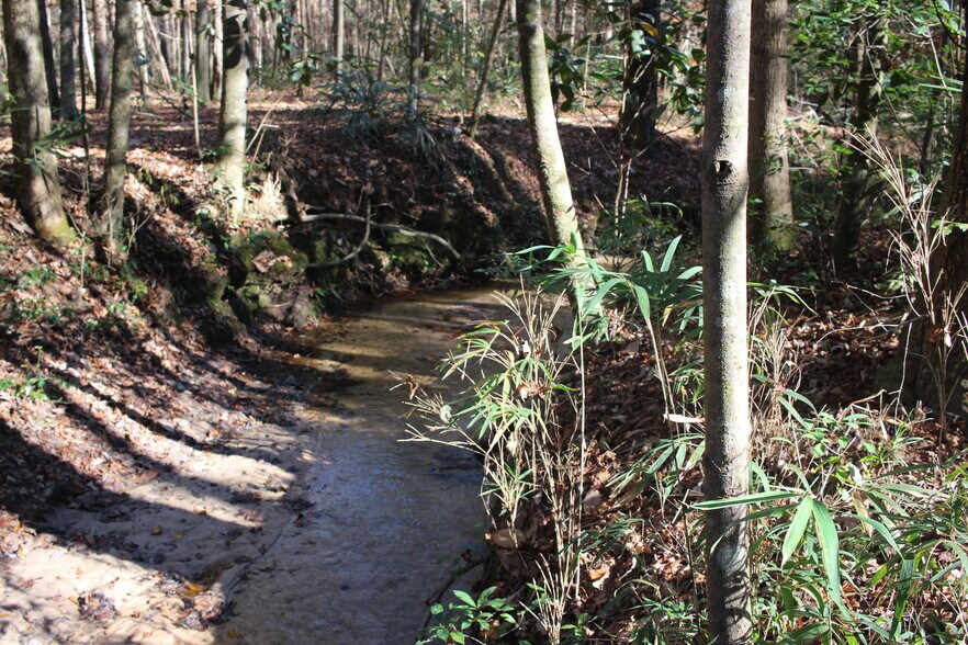 More Photos Of 4433 Pat Thomas Pky, Quincy Land For Sale