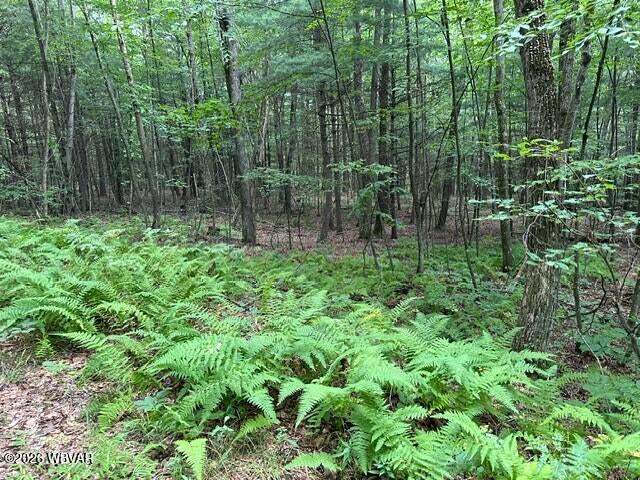 More Photos Of Beech Creek Mountain Rd, Beech Creek Land For Sale