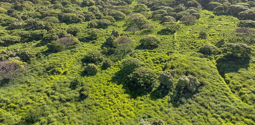 More Photos Of 82-6159 Napoopoo Rd, Captain Cook Land For Sale