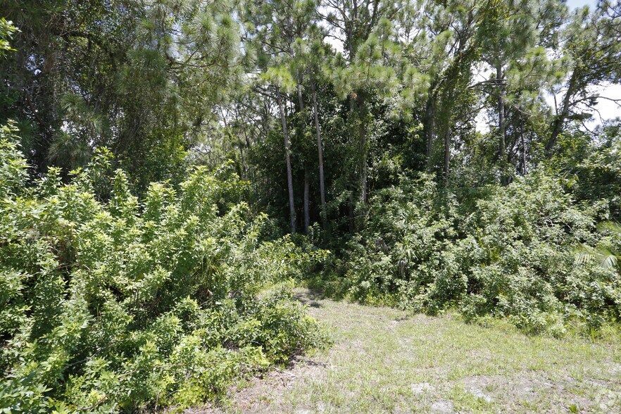 More Photos Of 1630 Manor Rd, Englewood Land For Sale