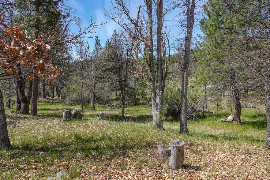 More Photos Of 2003 Kidder Creek Rd, Greenview Land For Sale