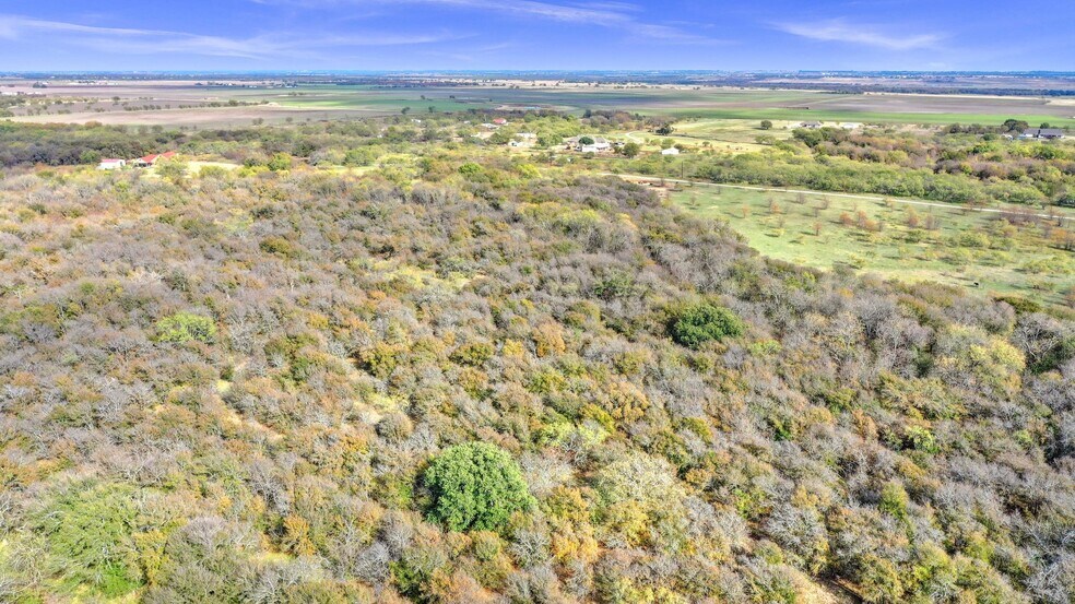 More Photos Of TBD Shearer Rd, Pilot Point Land For Sale