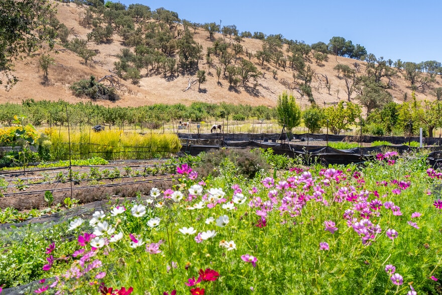 More Photos Of 5750 El Pharo Dr, Paso Robles Land For Sale