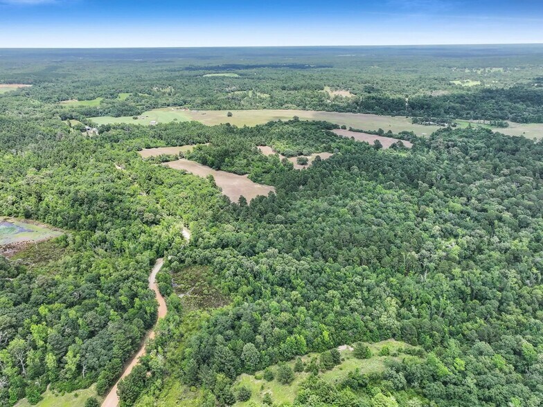 More Photos Of 8323 County Road 292, Buffalo Land For Sale