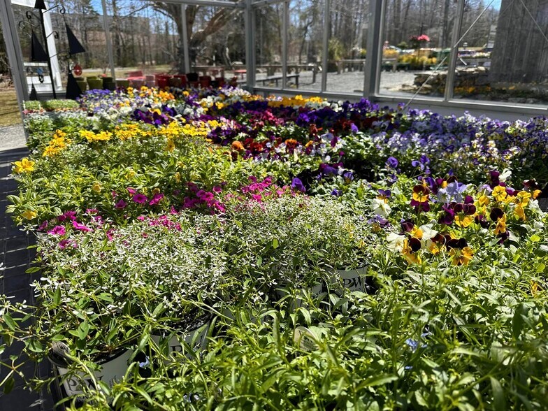 More Photos Of 48 South, Blue Hill Garden Center For Sale