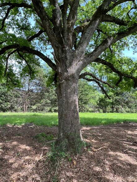 More Photos Of 12813 County 2133 rd, Whitehouse Land For Sale