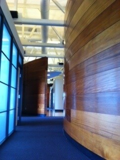 Photo of 1st Floor Ste 