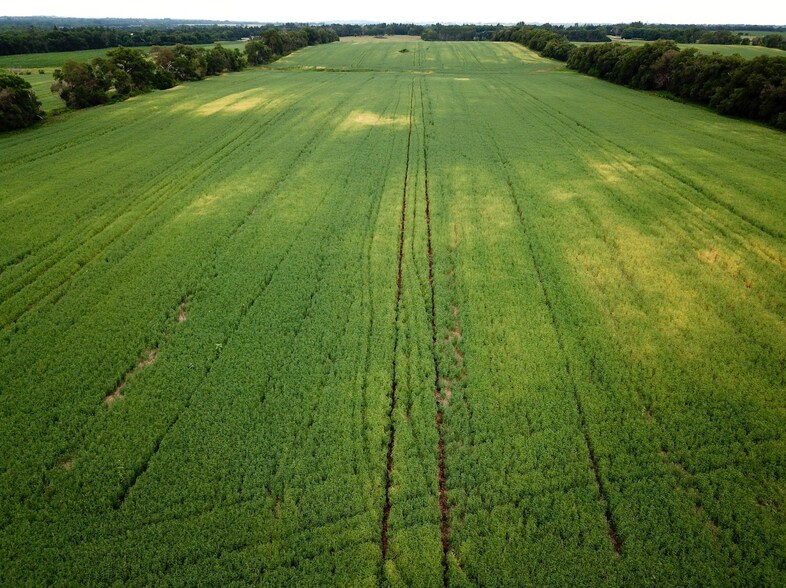 More Photos Of TBD US HIGHWAY 83, Bismarck Land For Sale