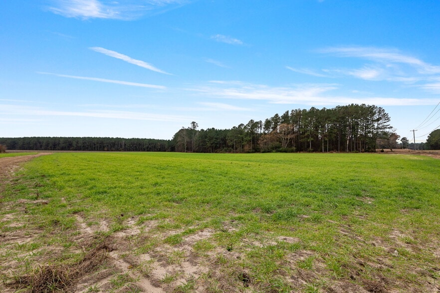 More Photos Of 10131 Ramsey st, Linden Land For Sale