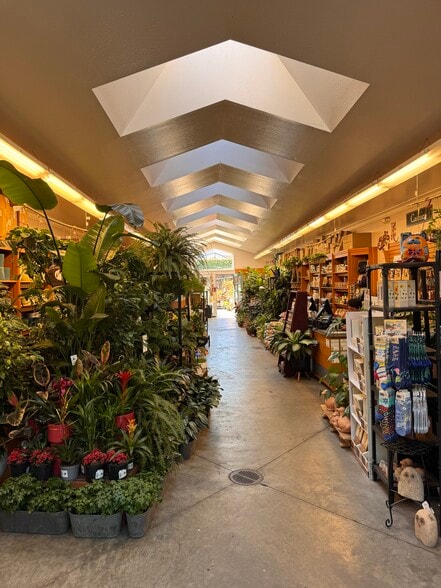 More Photos Of 3237 Pierce St, San Francisco Storefront For Lease