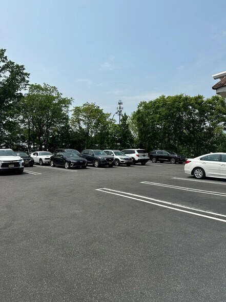 More Photos Of 11 Dundar Rd, Springfield Office For Lease