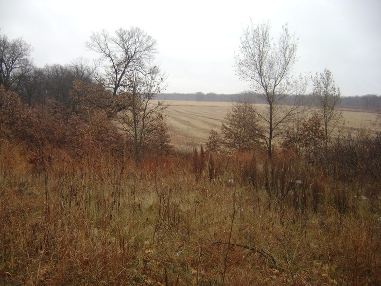 3253 S Wheeler Rd, Pembroke Township, IL 60958 Land For Sale