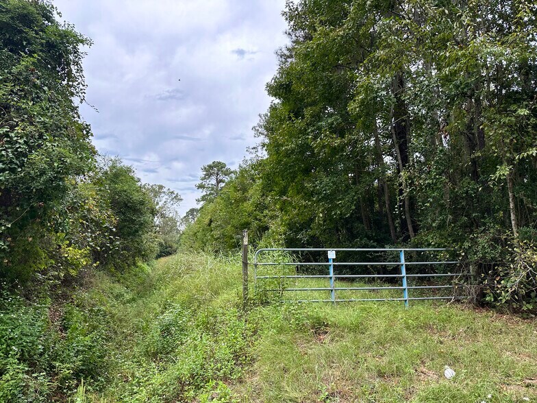 More Photos Of 214A Seabrook Rd, Seabrook Land For Sale