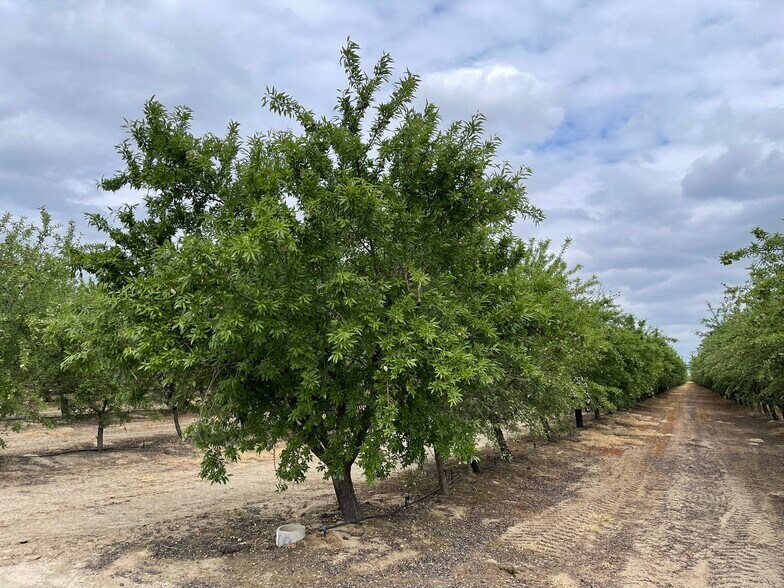 More Photos Of 12251 E Jefferson Ave, Del Rey Land For Sale