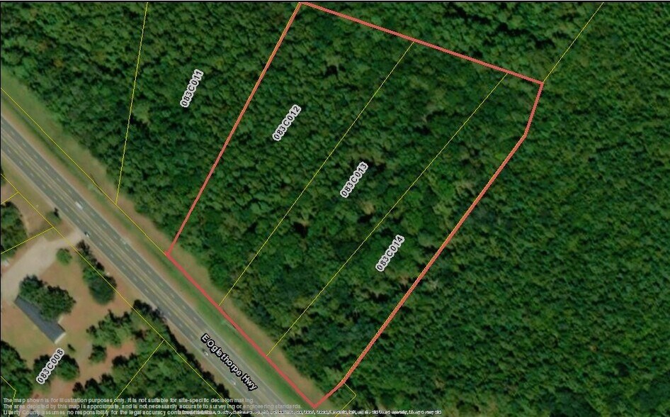 Primary Photo Of 12.11 Acres E Oglethorpe Hwy, Fleming Land For Sale
