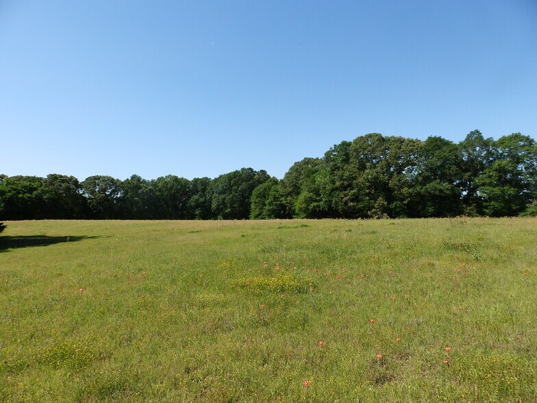 More Photos Of 3168 US Highway 175, Frankston Land For Sale