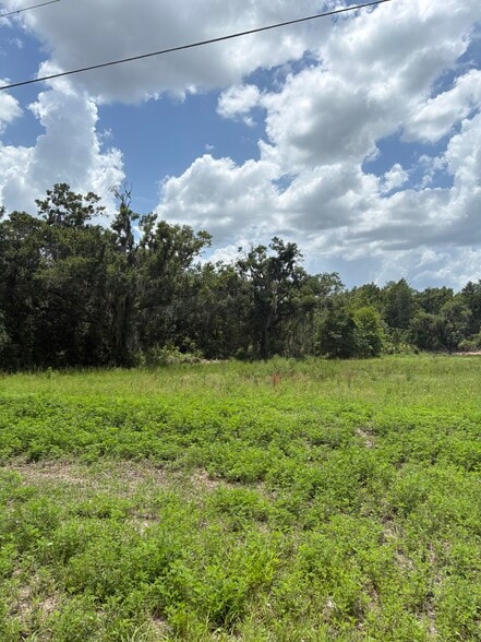 More Photos Of 4909 Paul Buchman Hwy, Plant City Land For Lease