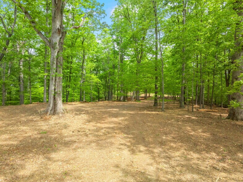 More Photos Of 0 Highway 321 South, Lenoir City Land For Sale