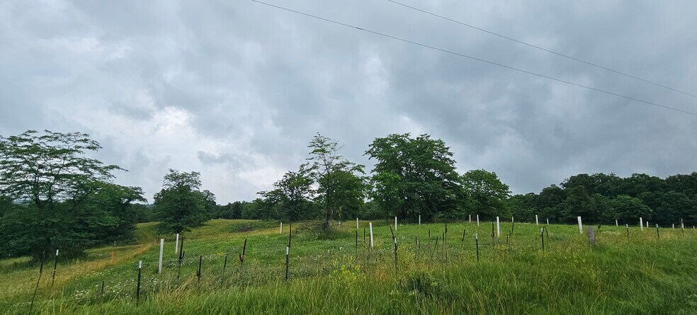 More Photos Of Evergreen Trail, Unionville Land For Sale