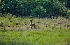 More Photos Of 6125 Crane Ln, North Zulch Land For Sale