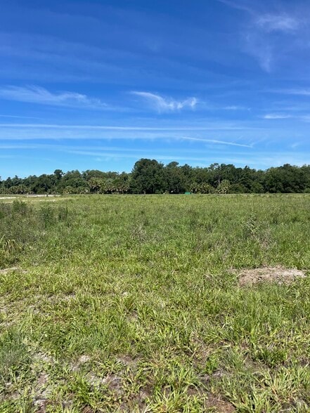 Primary Photo Of Lake Ferns Road, Umatilla Land For Sale