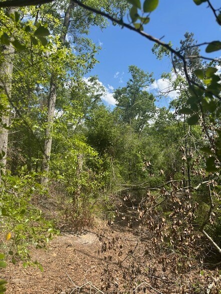 More Photos Of 0 New Bethel Church Rd, Fitzgerald Land For Sale