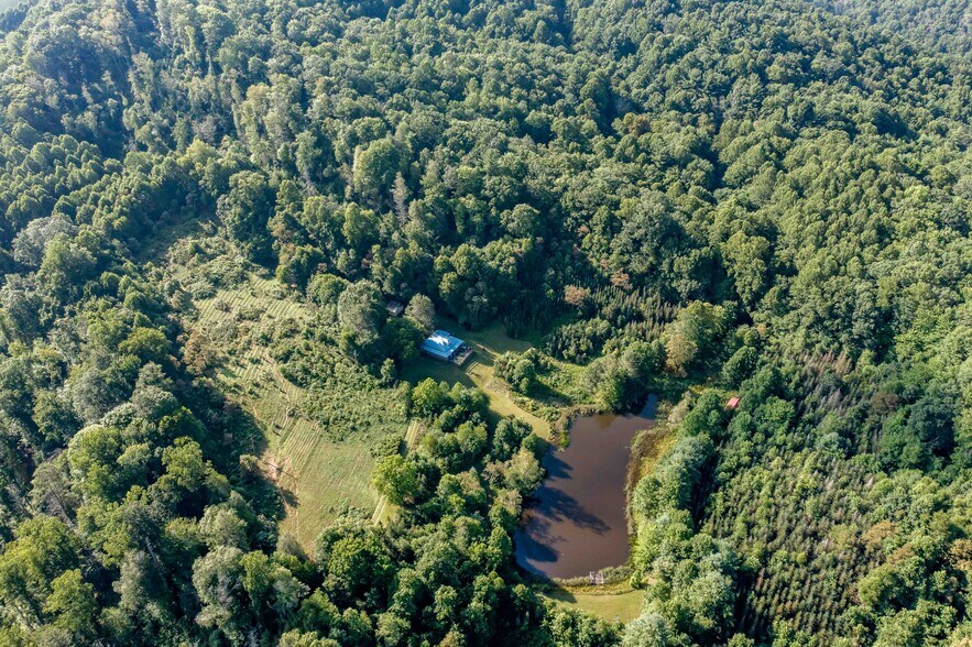 More Photos Of 306 Bear Branch rd, Roan Mountain Land For Sale