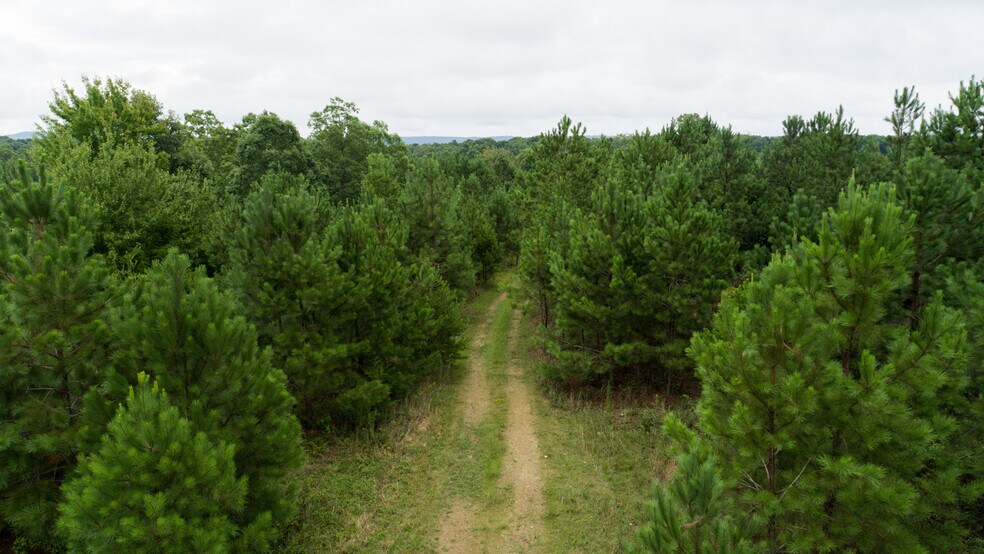 More Photos Of 0 Waters Dr, Ringgold Land For Sale