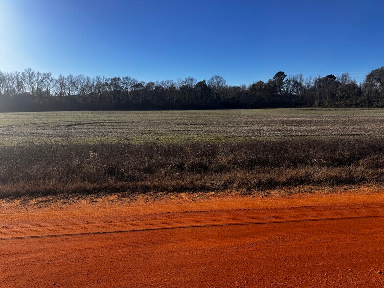 More Photos Of 0 Wiggins Road, Frisco City Land For Sale
