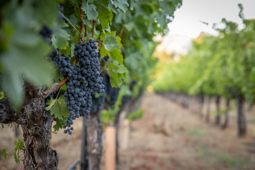More Photos Of 0 Ragatz Lane, Napa Land For Sale