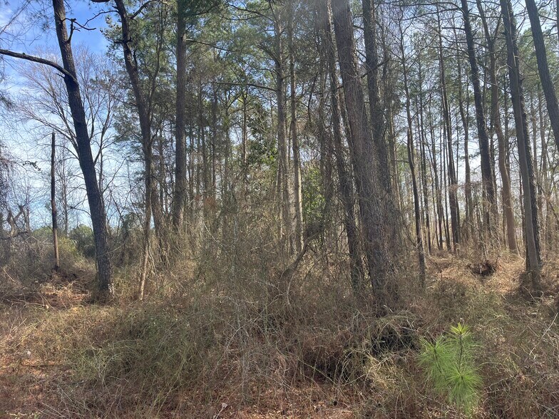 More Photos Of TBD US 15-501 Hwy, Pinehurst Land For Sale