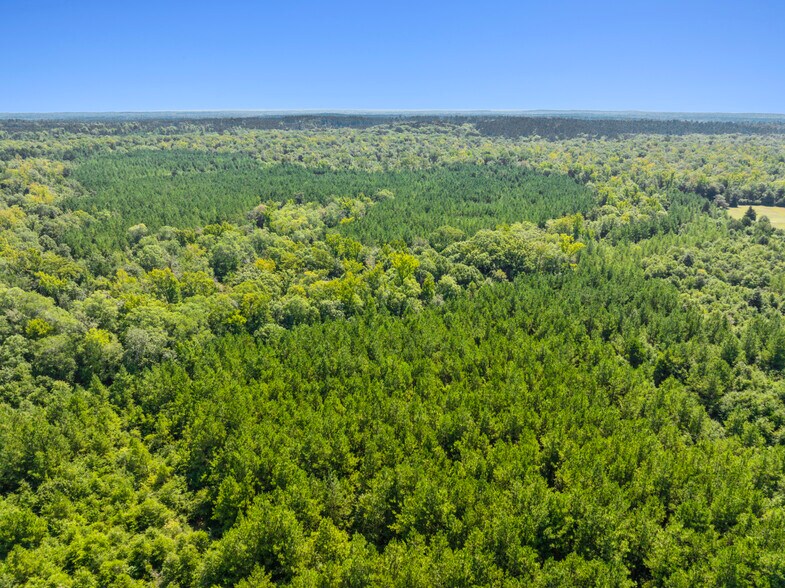 More Photos Of 7471 Highway 155, Saline Land For Sale