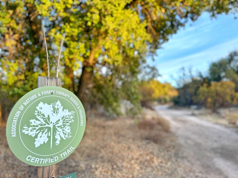 More Photos Of 30415 Chihuahua Valley Rd, Warner Springs Land For Sale