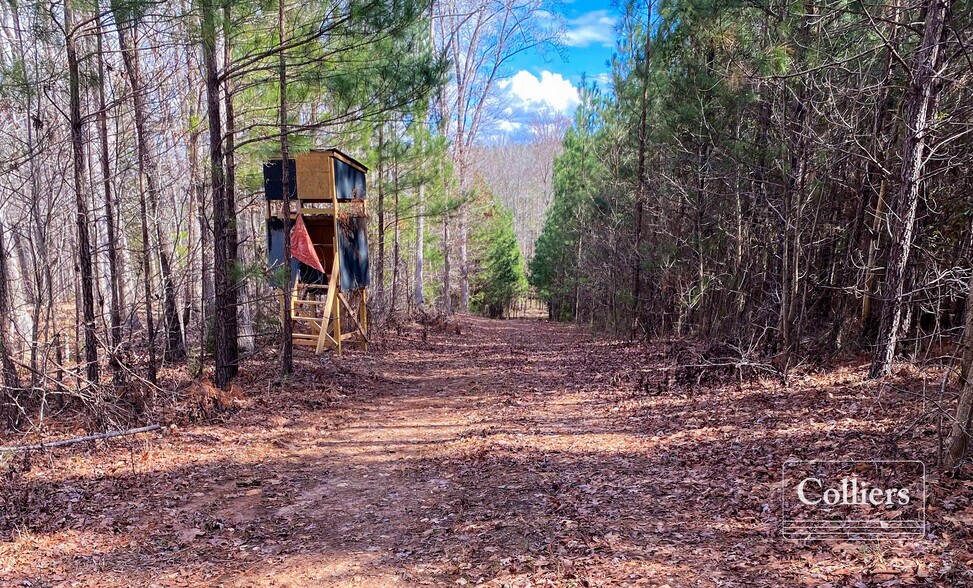 More Photos Of Long Road Rd, Ridgeway Land For Sale