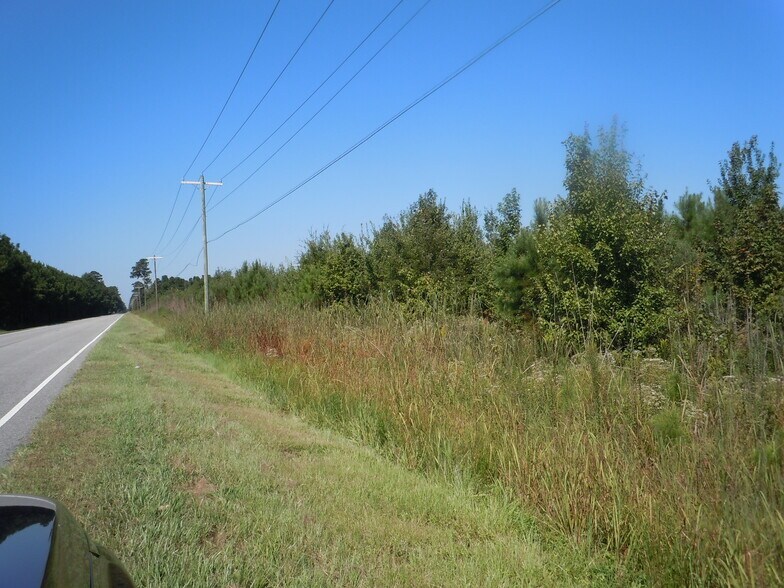 More Photos Of Near 10700 Andrew Jackson Highway, Fair Bluff Land For Sale