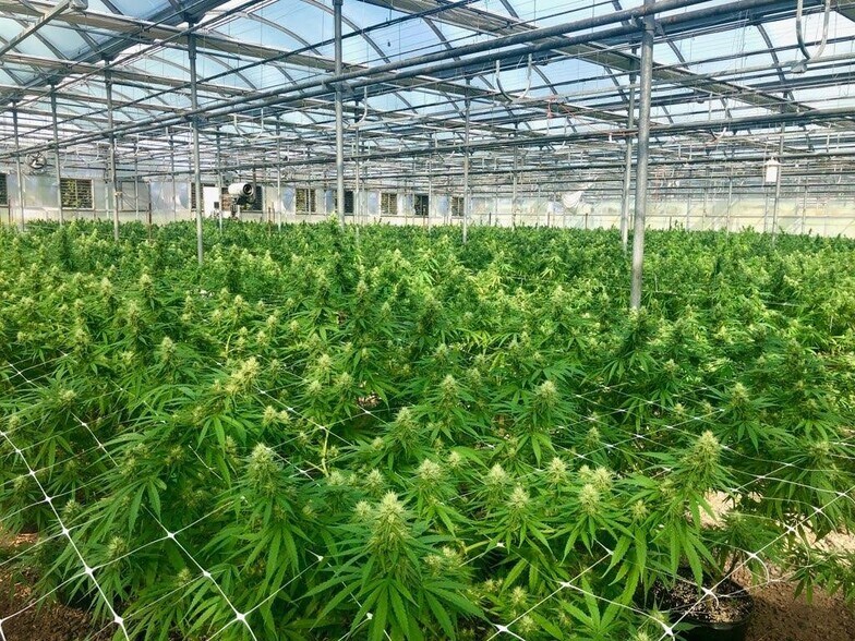 More Photos Of 609-621 E Maple Ave, Newark Light Manufacturing For Lease