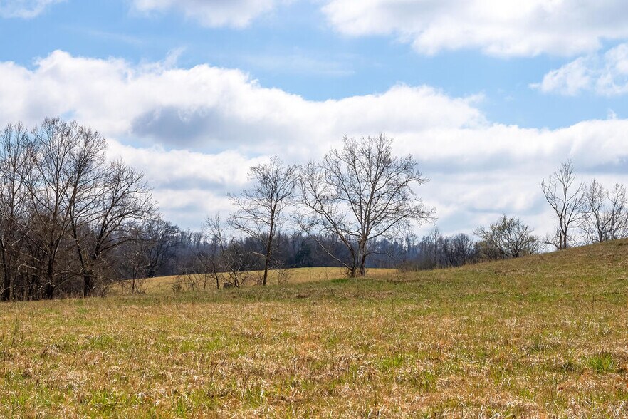 More Photos Of 0 Hwy 13, Linden Land For Sale