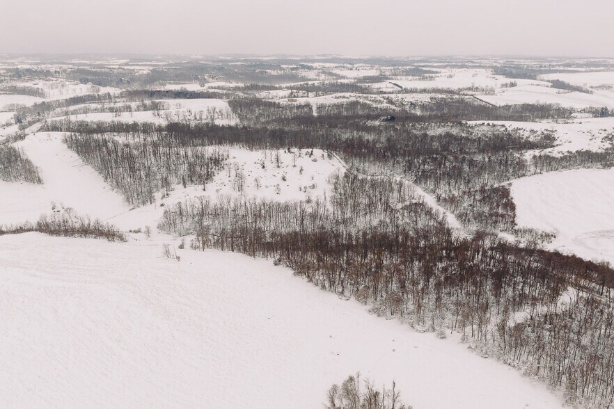 More Photos Of 68895 Lloydsville Bannock Rd, Belmont Land For Sale