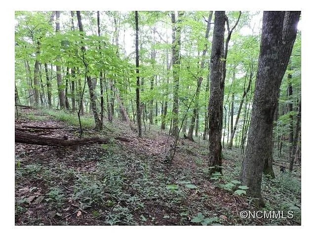More Photos Of 329 Hamlin Lane, Mars Hill Land For Sale
