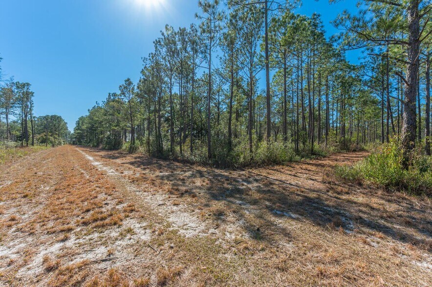 More Photos Of Hwy 331 S & Jolly Bay Road, Freeport Land For Sale