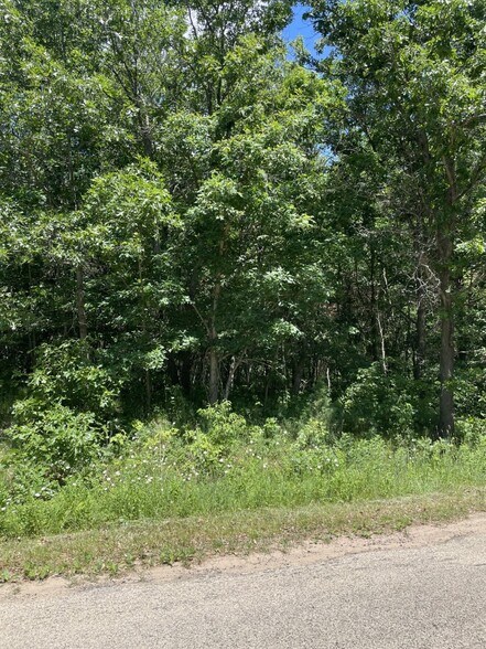 More Photos Of Hwy 12/16 & 60th St, Wisconsin Dells Land For Sale