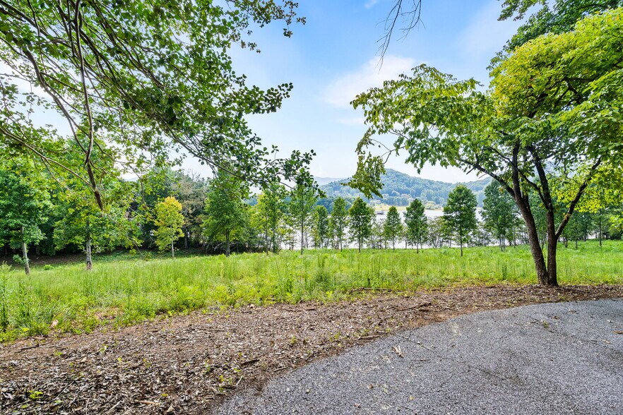 More Photos Of 314 Lakeside dr, Hiawassee Land For Sale