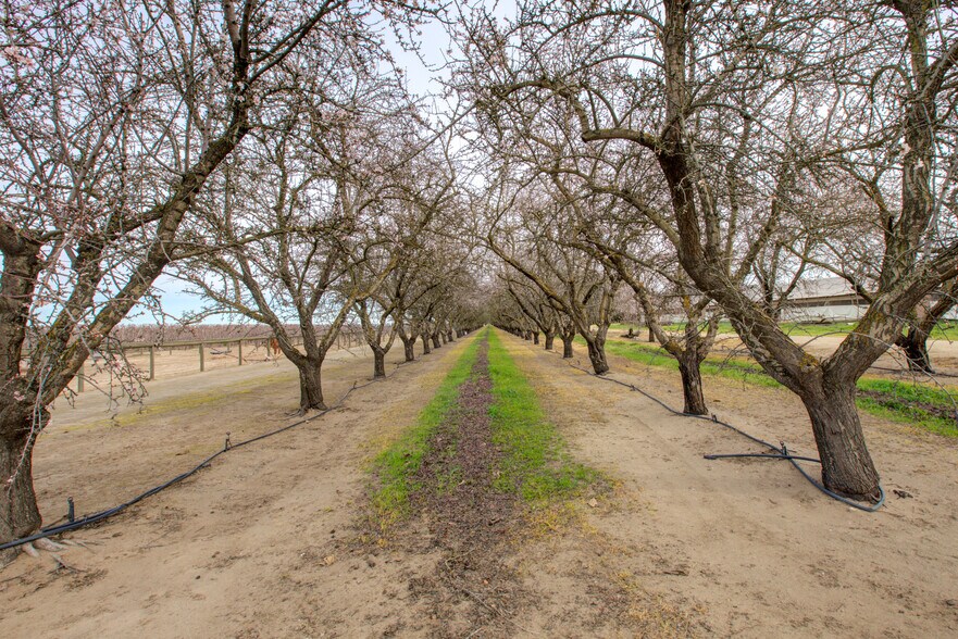 More Photos Of 13120 S Highway 99, Manteca Land For Sale