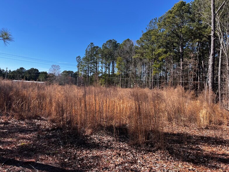 More Photos Of 1284 NC 50, Benson Land For Sale