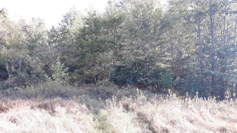 More Photos Of 3354 State Route 132, Amelia Land For Sale