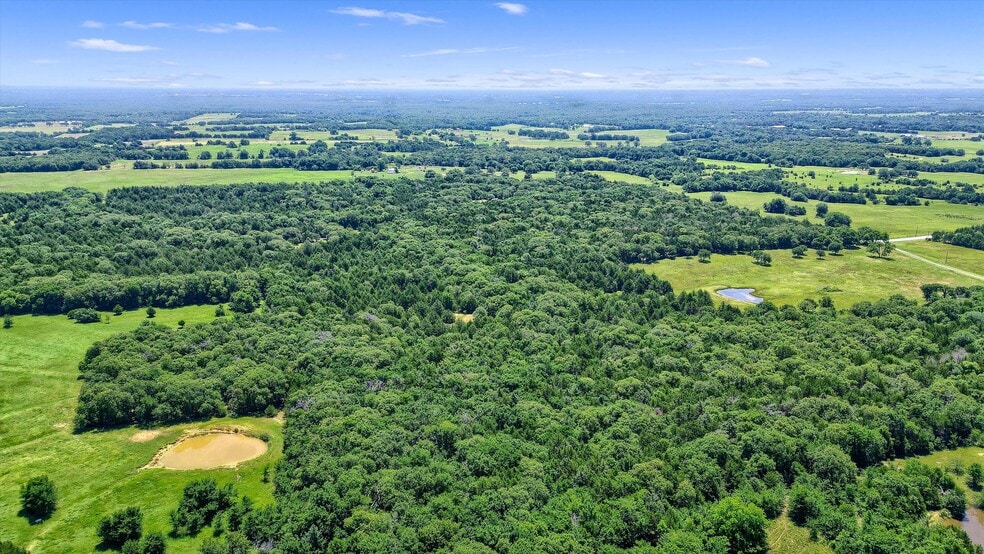 More Photos Of TBD CR 113, Whitesboro Land For Sale
